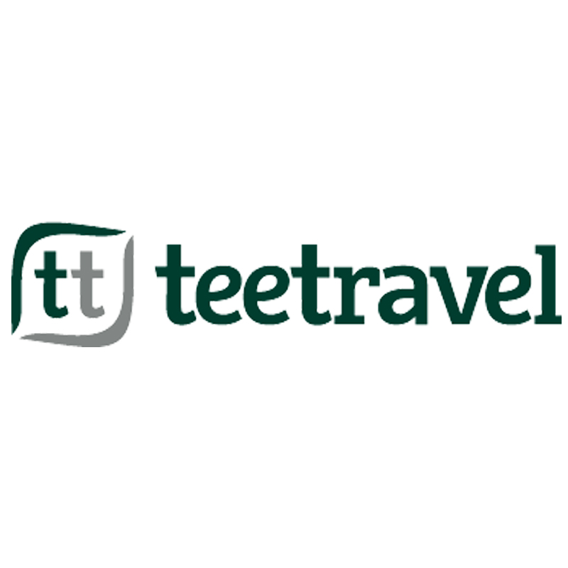 Logo Tee Travel