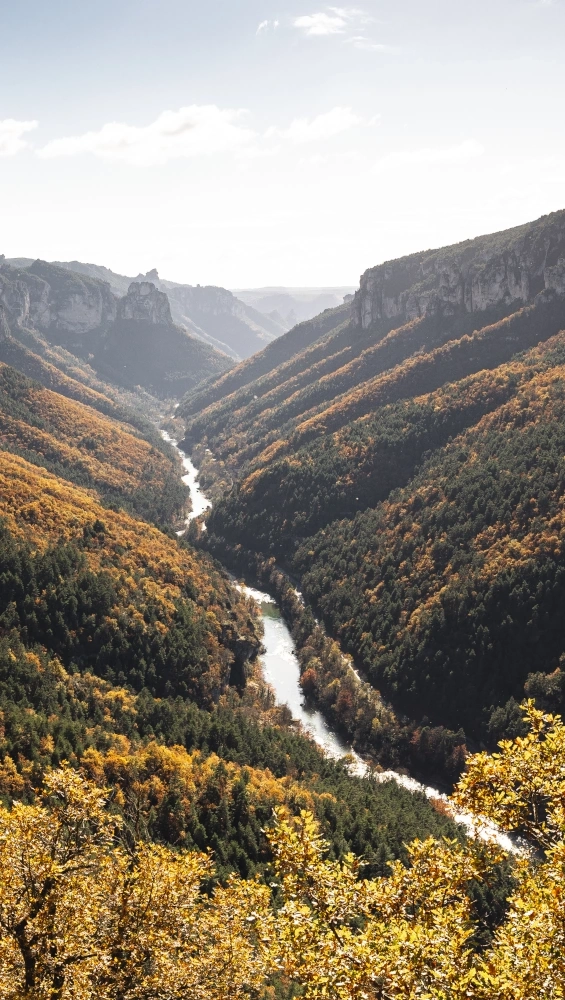 bannière Tarn-Schluchten und -Tal