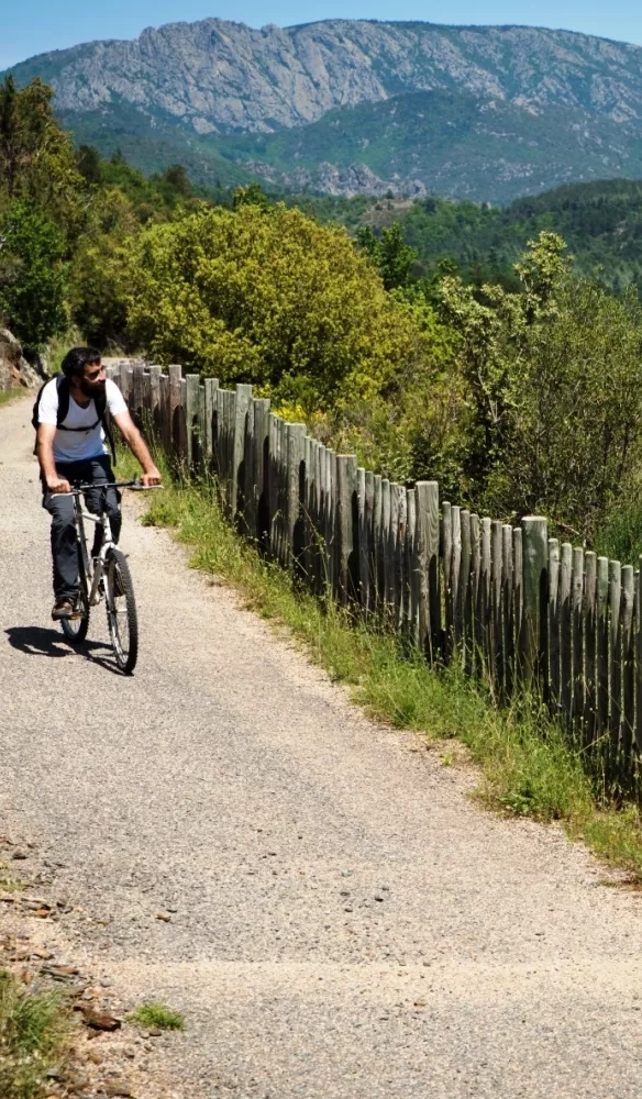 bannière The Passa Païs green trail