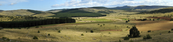 Le causse Méjean 