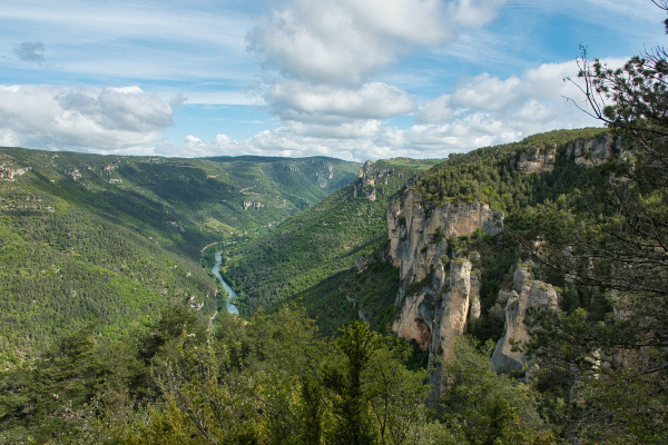 Vue sur les gorges du Tarn depuis le causse Méjean  - &copy;Marie H Ray 