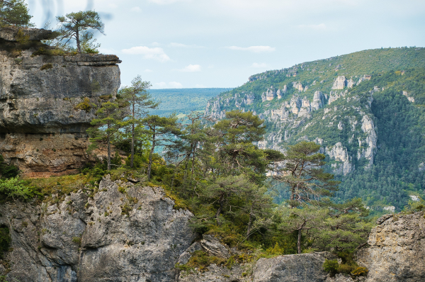 Le Pas de l'Arc, près du Rozier  - &copy;Marie H Ray