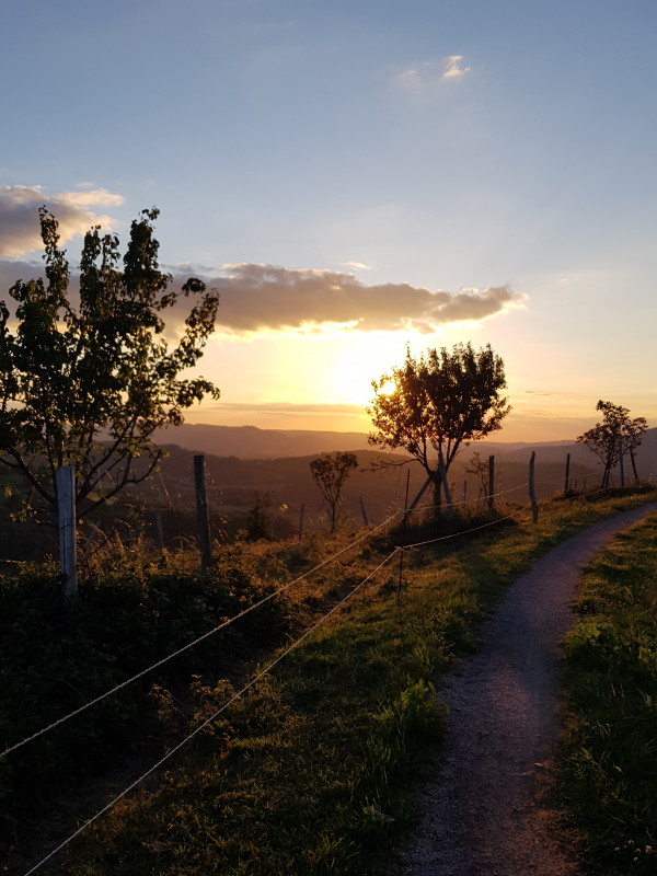 Point de vue Ban-de-Laveline  - &copy;Clémence Cuny