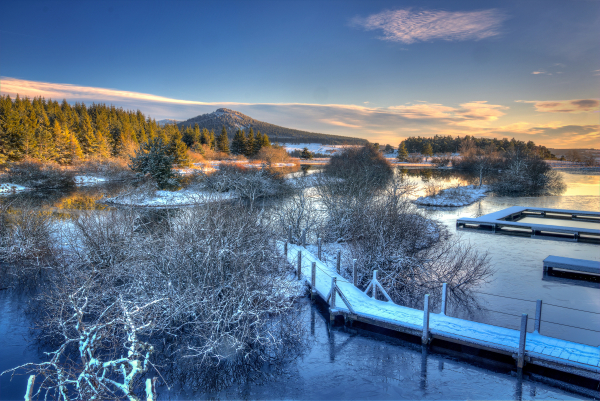 Etang des Barthes  - &copy;Gabriel Cardaire de Pixabay