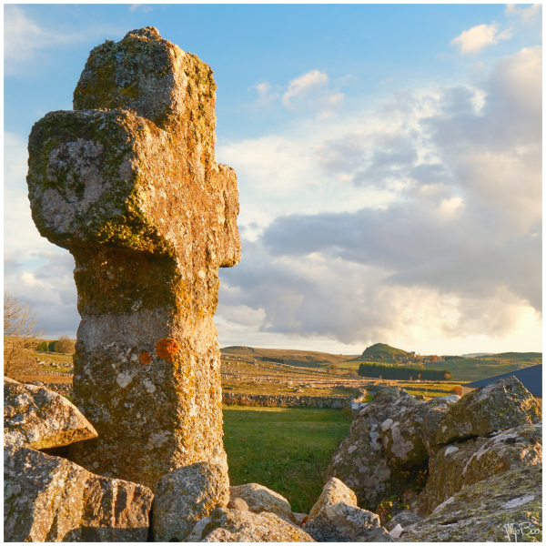 Entre Rieutord d'Aubrac et Marchastel  - &copy;Philippe Bout