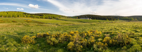 Le domaine du Sauvage  - &copy;Jérémie Mazet