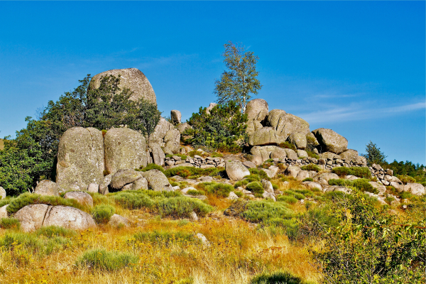 Le Mont Lozère 