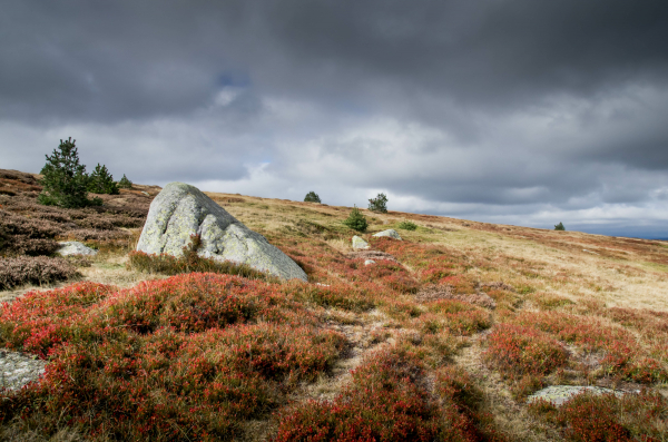 Mont Lozère 